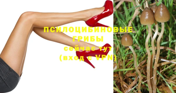 spice Абинск